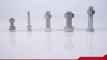 Hex Bolt, Eye Bolt, Stud Bolt, Chemical Stud, U Bolt, Stainless Steel Bolt